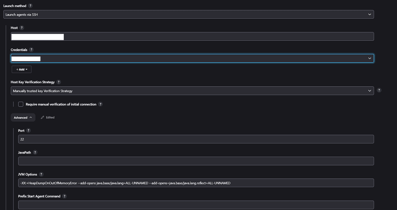 Specifying the JVM options for your agent that connects via SSH.